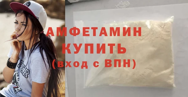 ПСИЛОЦИБИНОВЫЕ ГРИБЫ Верея
