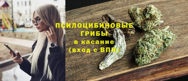 ПСИЛОЦИБИНОВЫЕ ГРИБЫ Верея