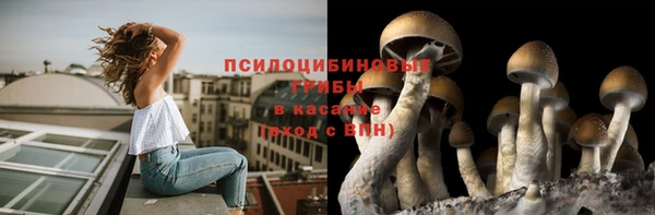 ПСИЛОЦИБИНОВЫЕ ГРИБЫ Верея
