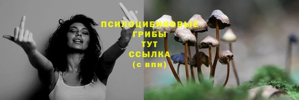 mdma Верхний Тагил